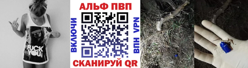 Где купить наркоту Светлогорск Псилоцибиновые грибы  Амфетамин  МАРИХУАНА  Мефедрон  КОКАИН 