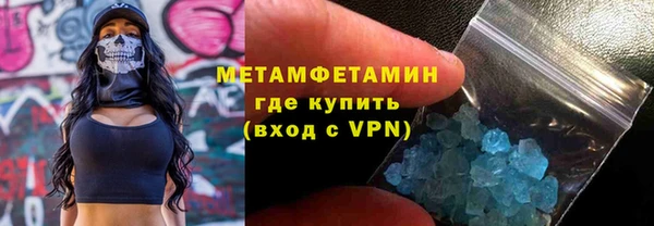 сатива Беломорск