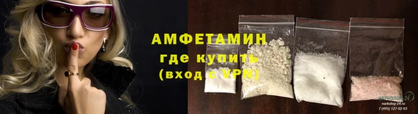 сатива Беломорск