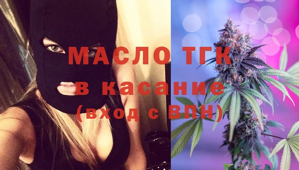 сатива Беломорск
