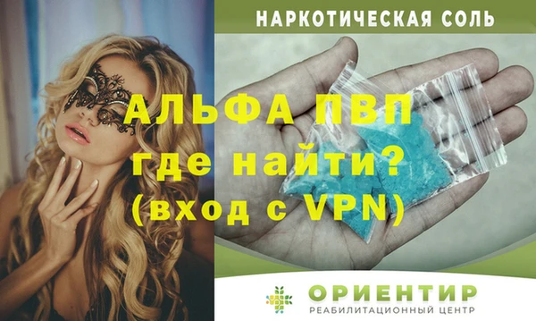 сатива Беломорск