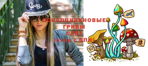 сатива Беломорск