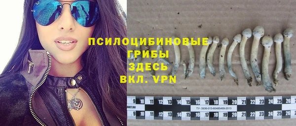 ALPHA-PVP Белокуриха