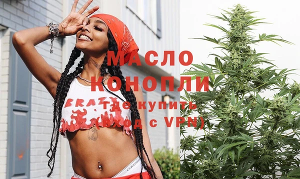 сатива Беломорск