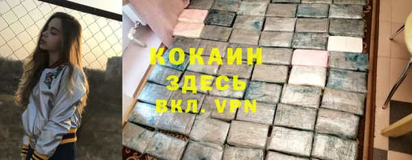 сатива Беломорск