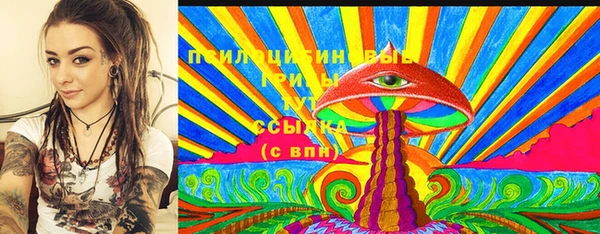 сатива Беломорск