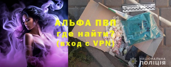 сатива Беломорск