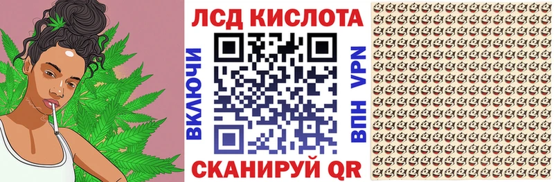 дарнет шоп  Светлогорск  Наркотические марки 1,8мг 